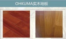 木家小木最新爆料,揭秘娱乐圈最新动态